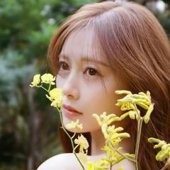 .｡ʚ☘︎︎⋆͛ɞ｡.ℳ𝐴𝑖.｡ʚ☘︎︎⋆͛ɞ｡