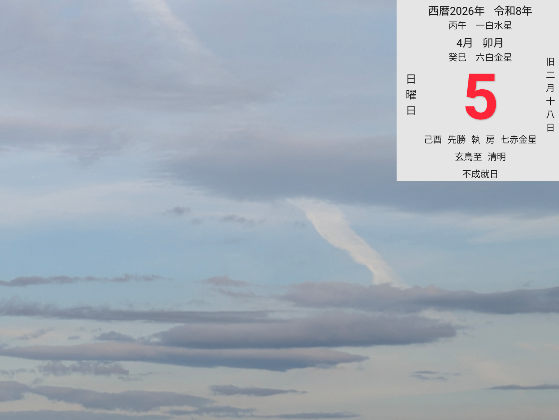投稿画像