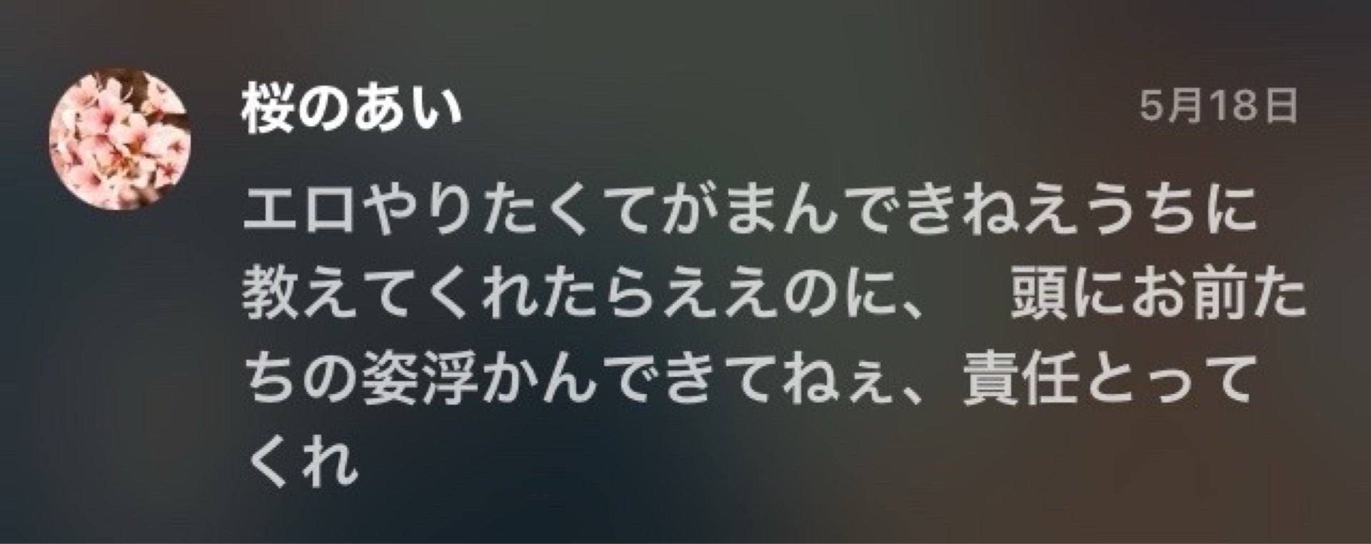 投稿画像