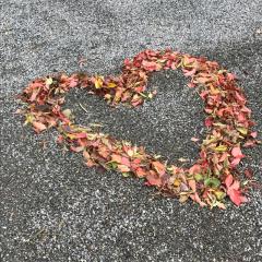 ぴよ