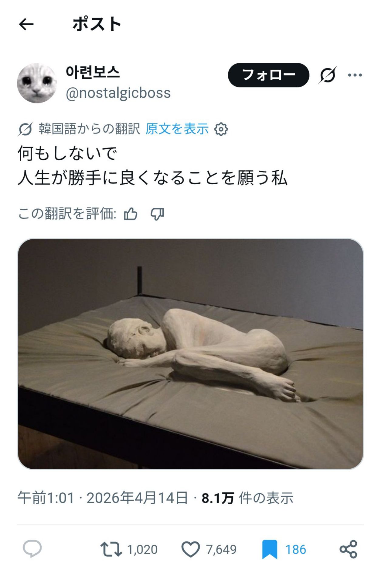 投稿画像