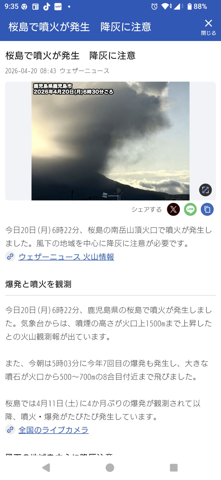 投稿画像