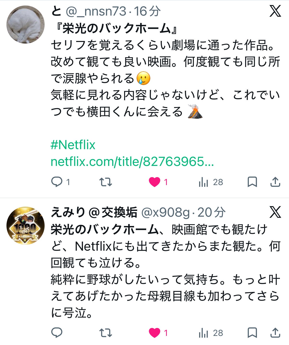 投稿画像