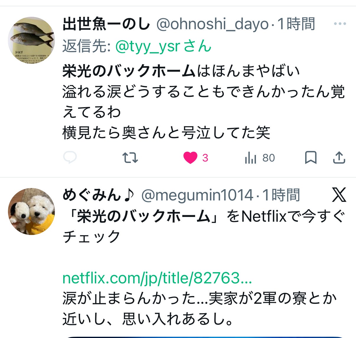 投稿画像