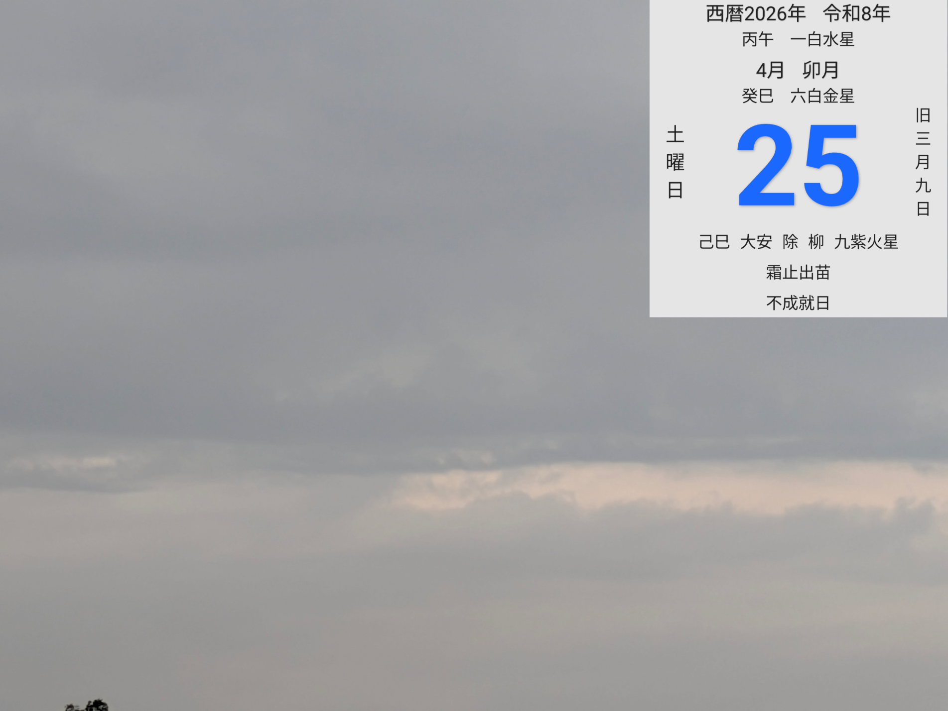 投稿画像