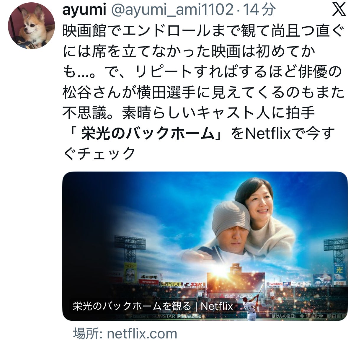 投稿画像