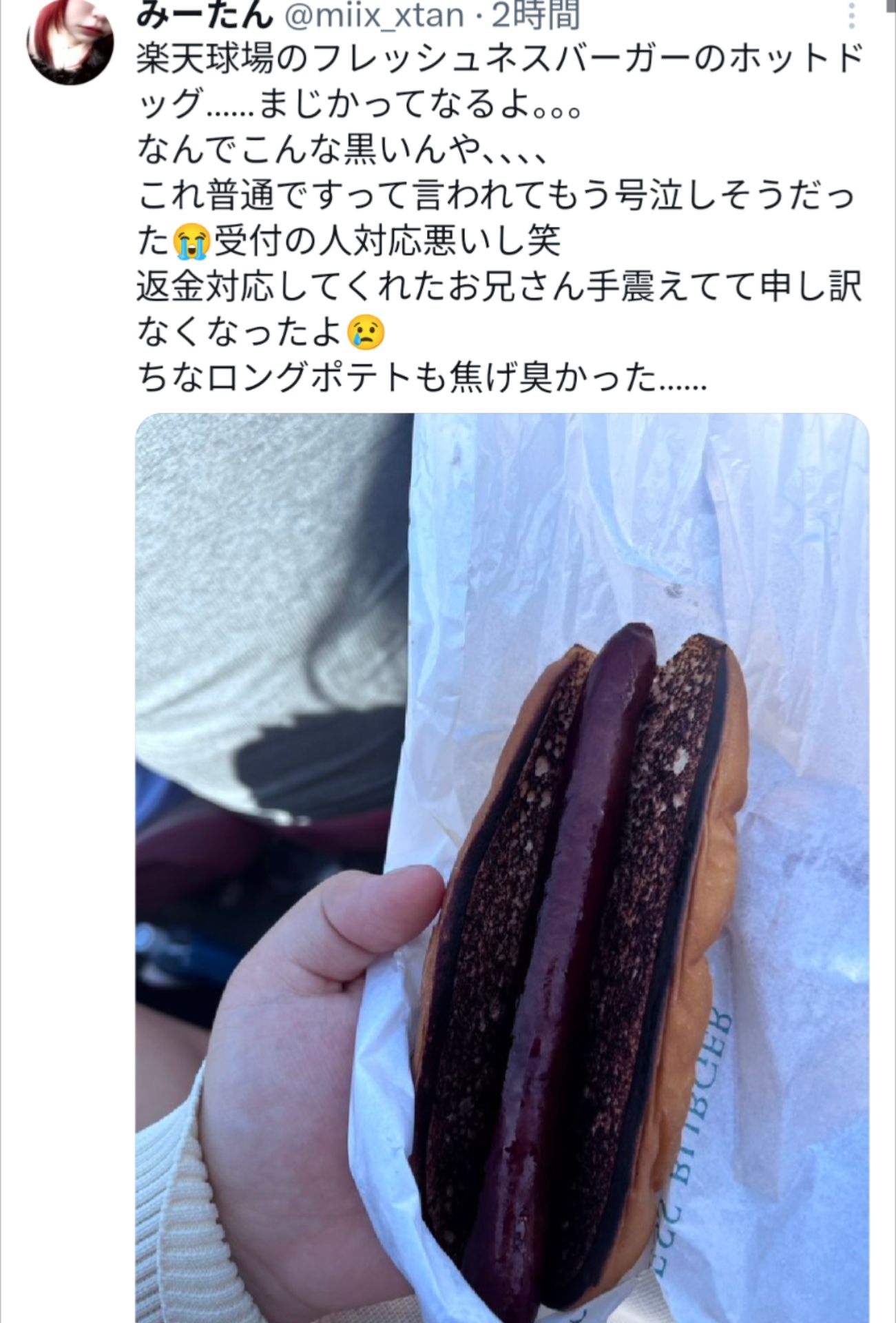 投稿画像