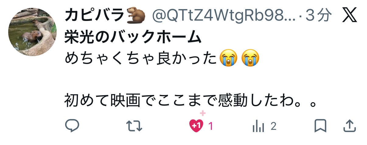 投稿画像