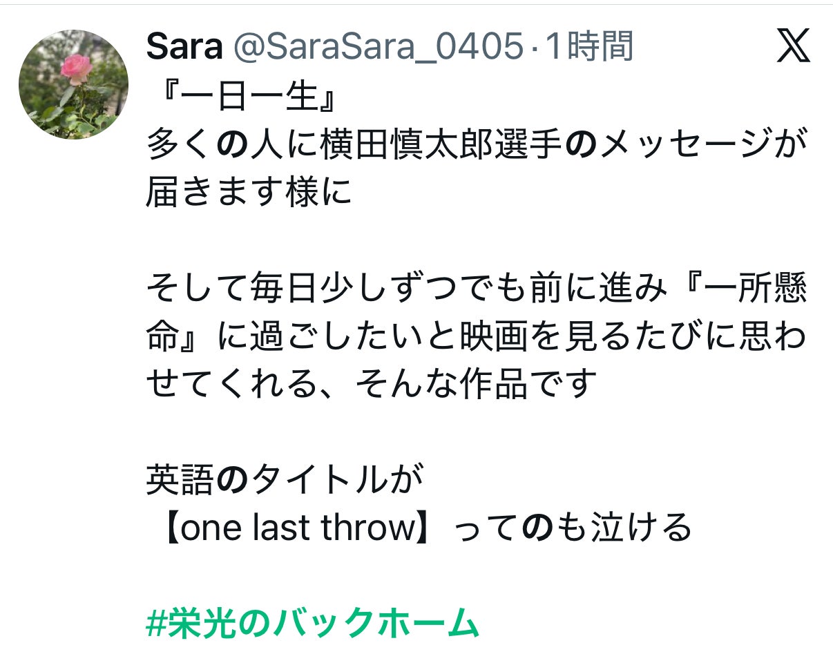 投稿画像