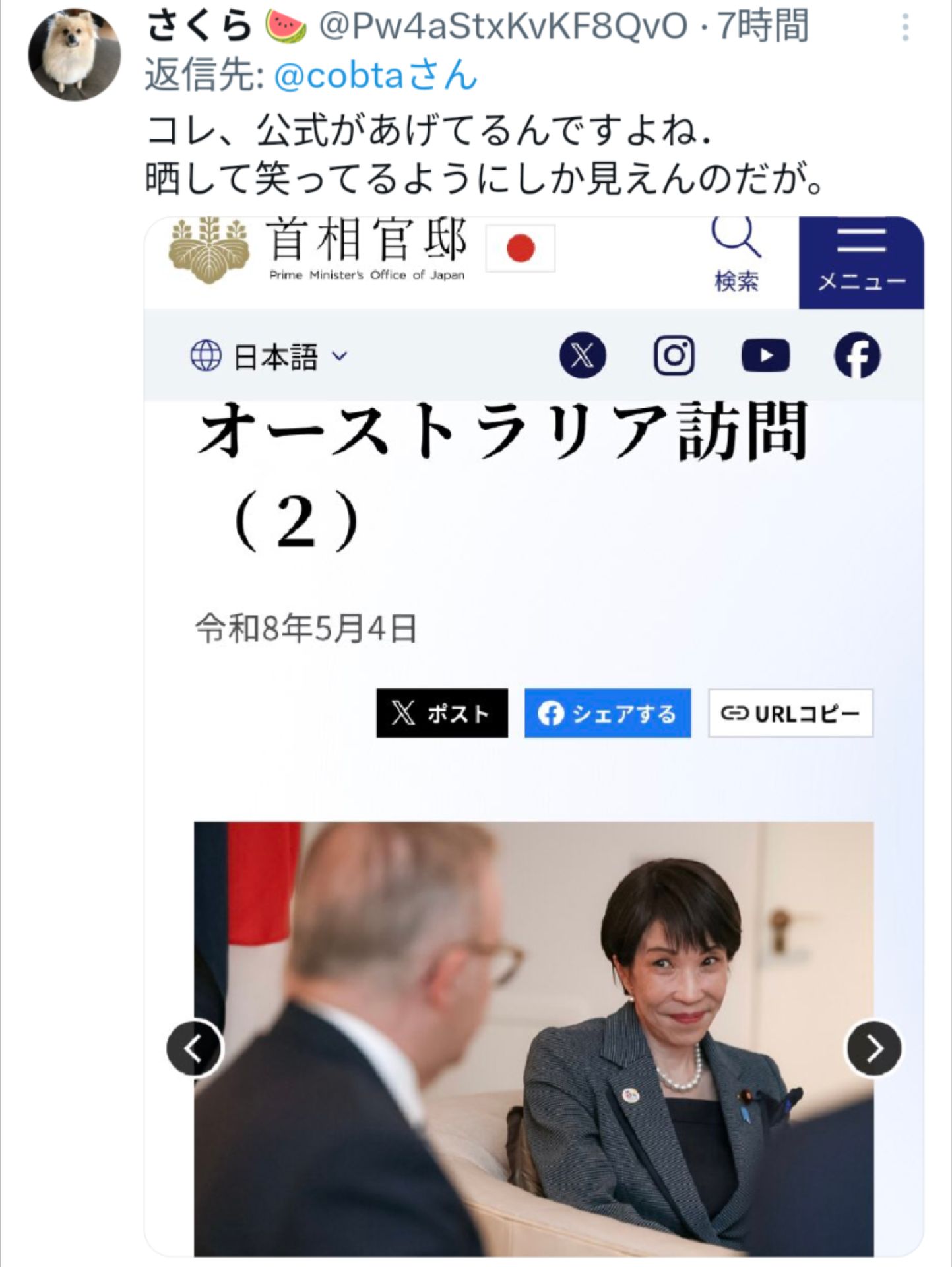 投稿画像