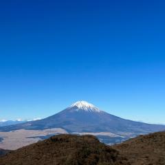 田島 伸悟
