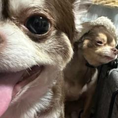 イワミク