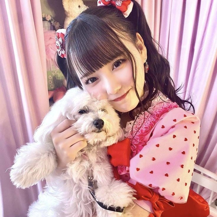 ❁⃘*.ﾟ梨花❁⃘*.ﾟ