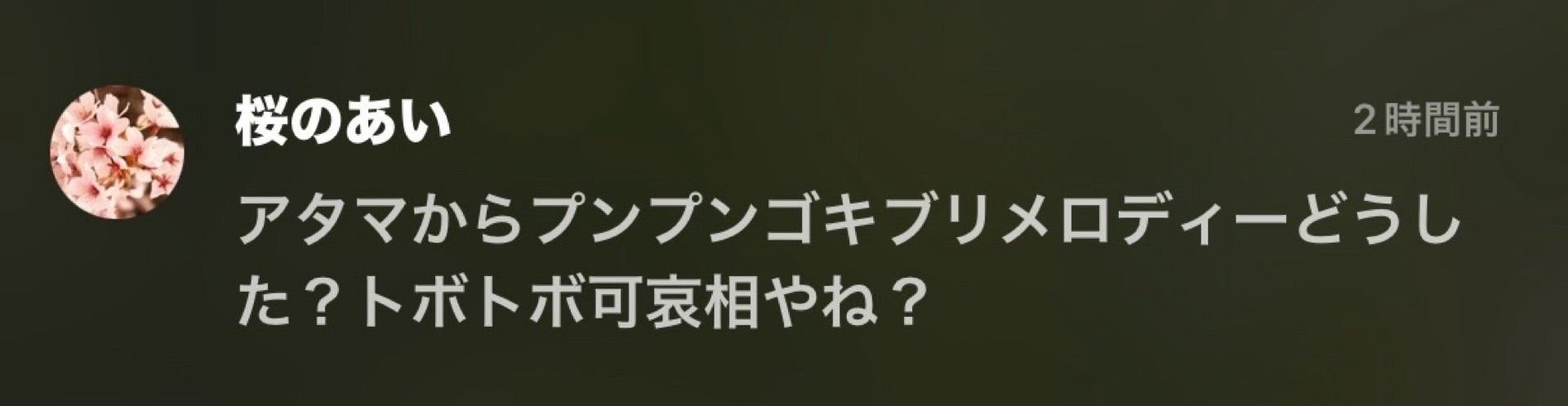 投稿画像