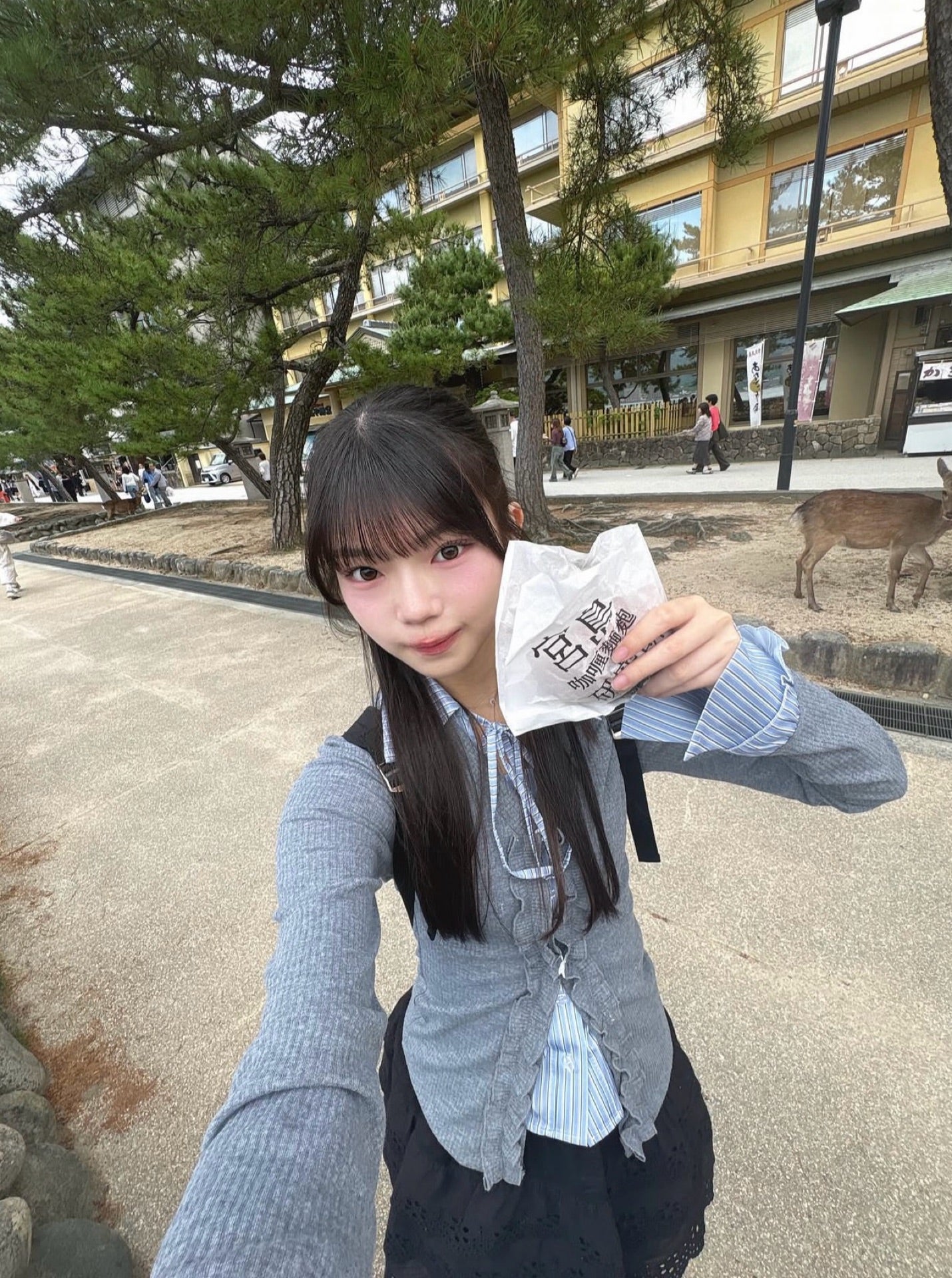 投稿画像