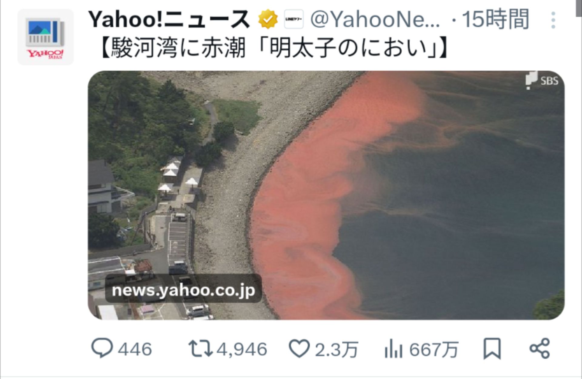 投稿画像