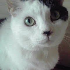 まーちゃんのトーク