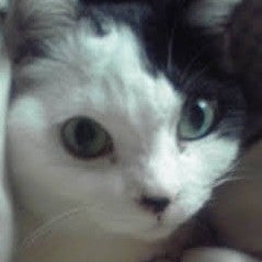 まーちゃん