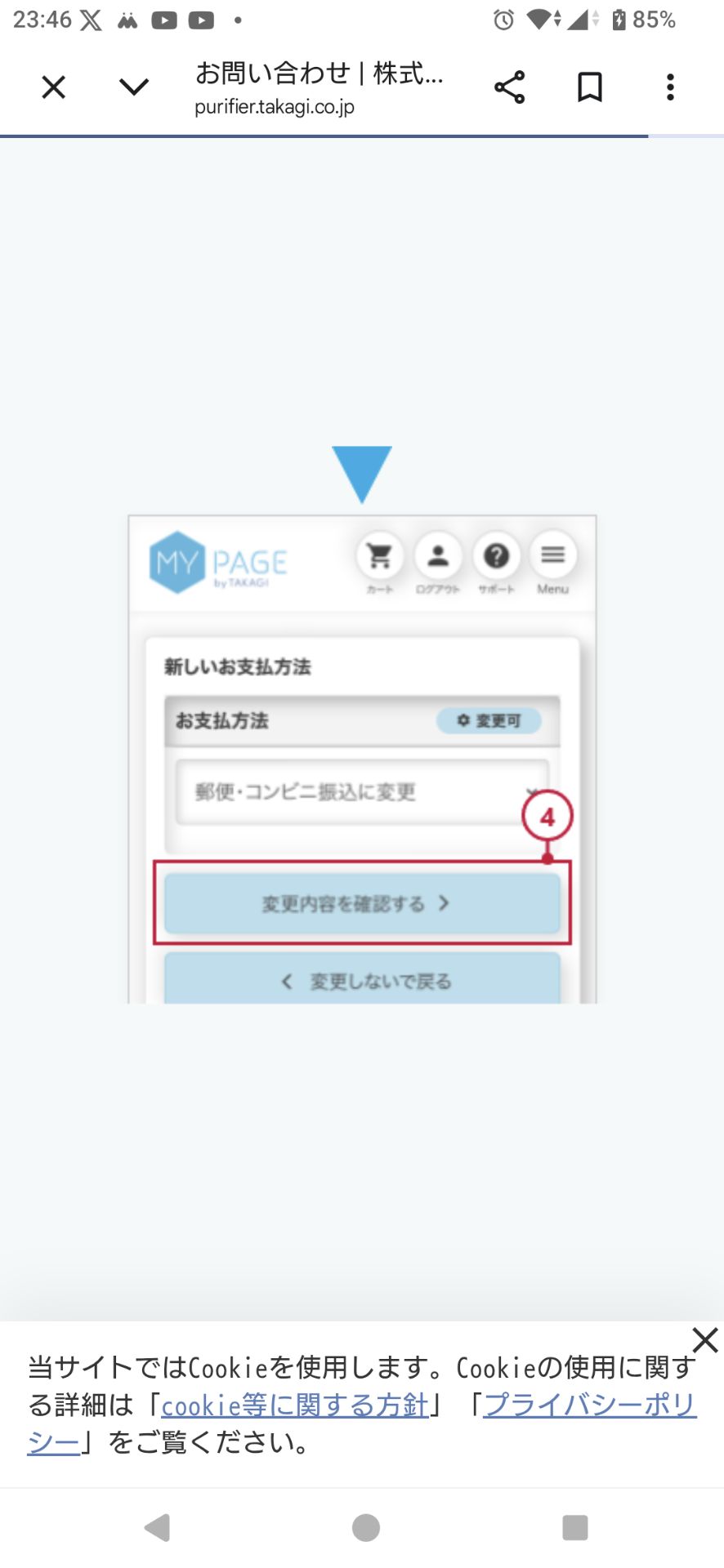 投稿画像