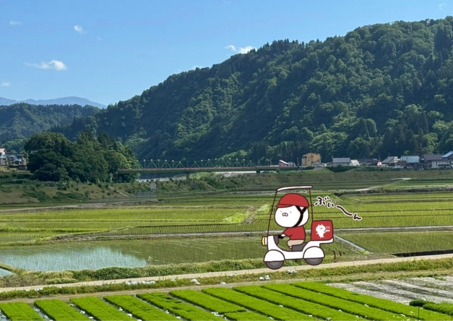 投稿画像