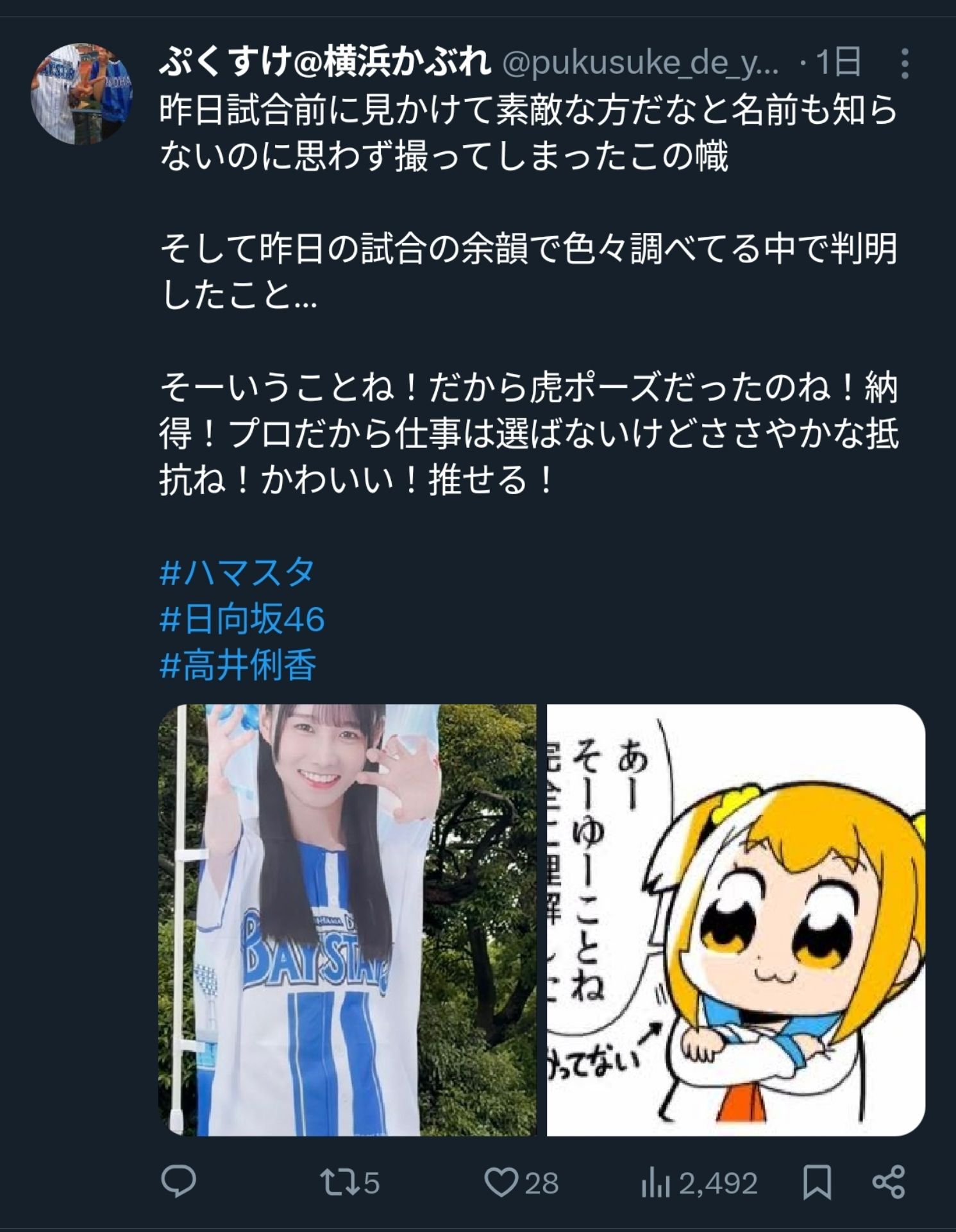 投稿画像