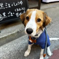 h.mizuno
