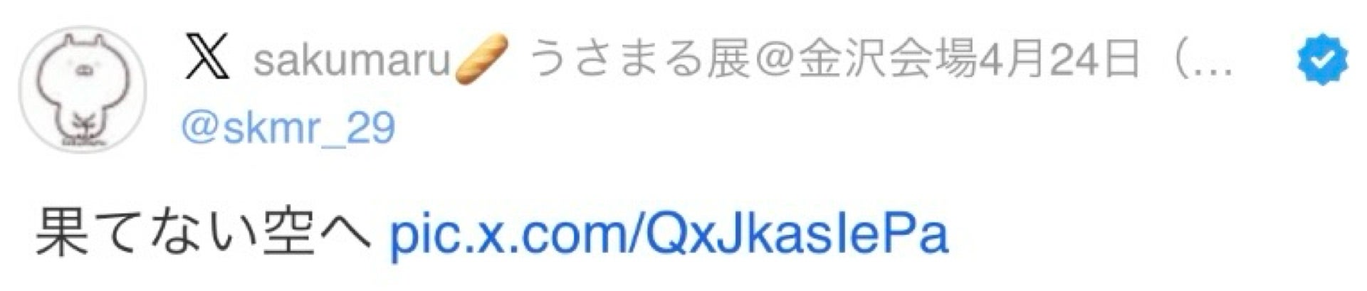投稿画像