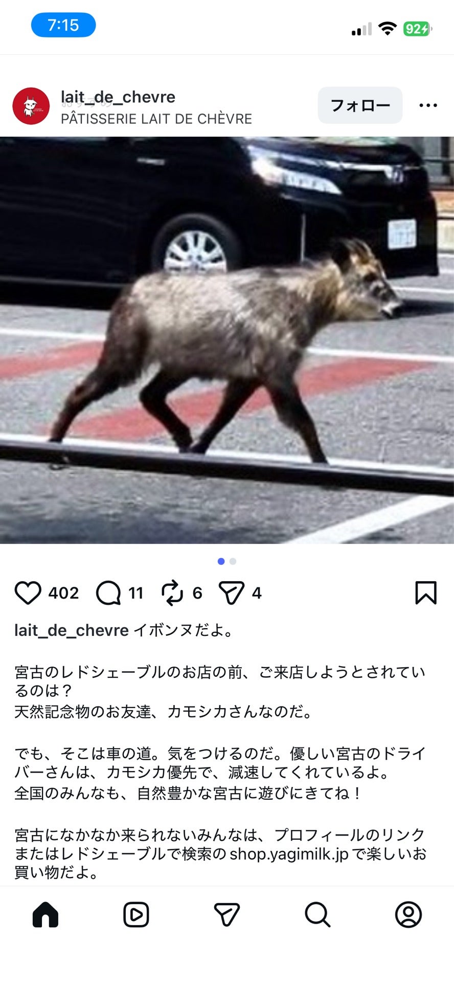 投稿画像