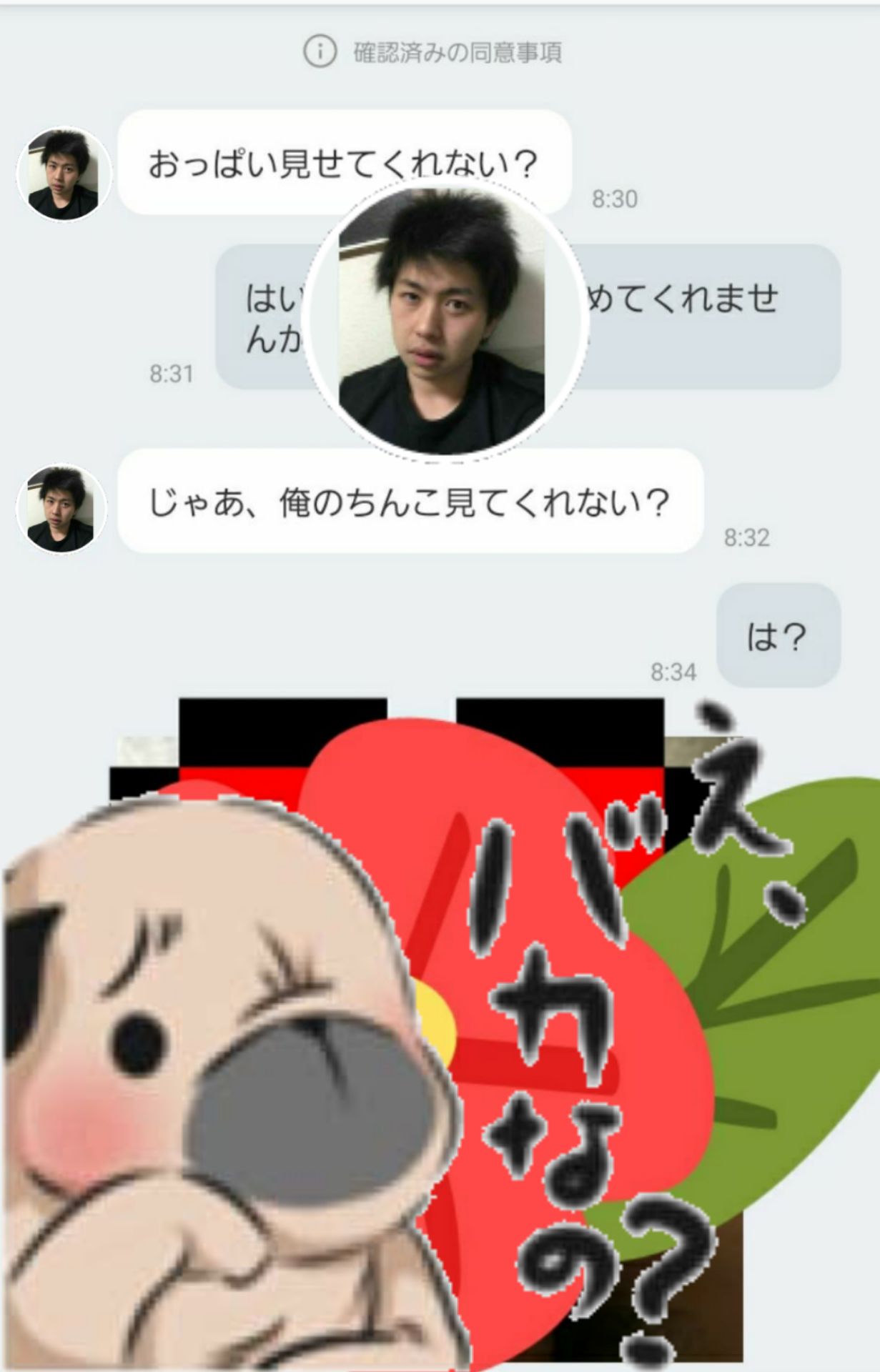 投稿画像
