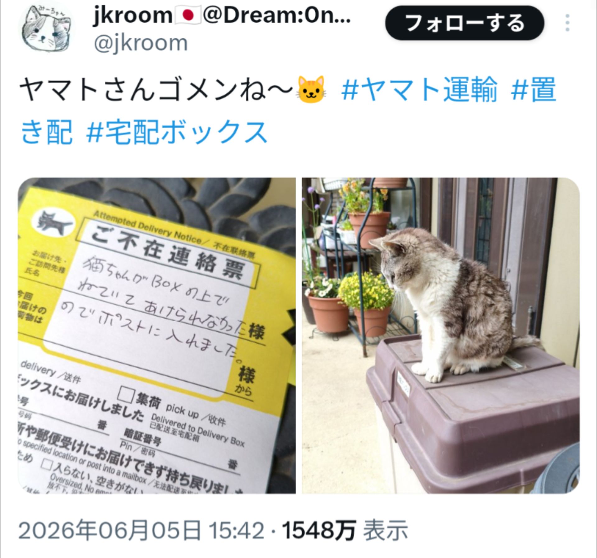 投稿画像