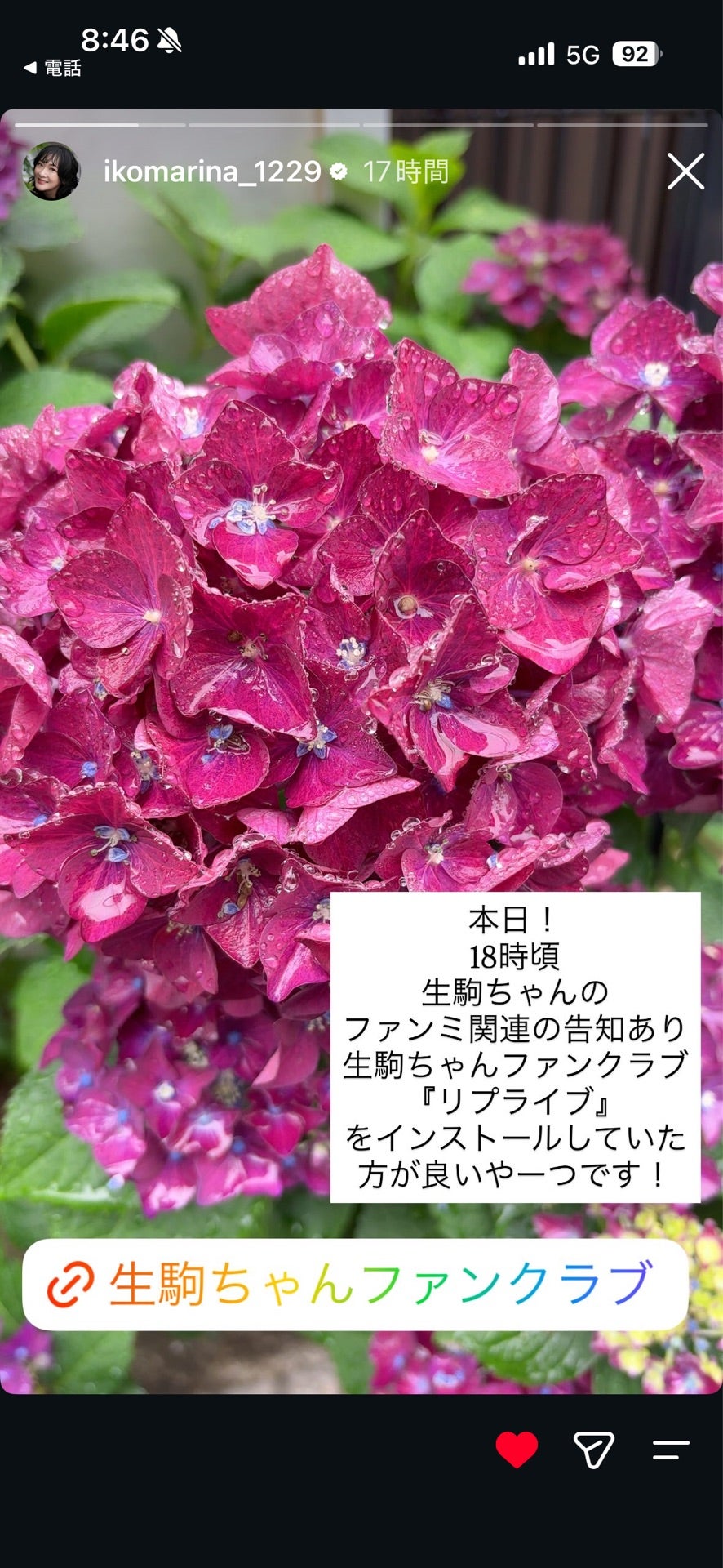 投稿画像