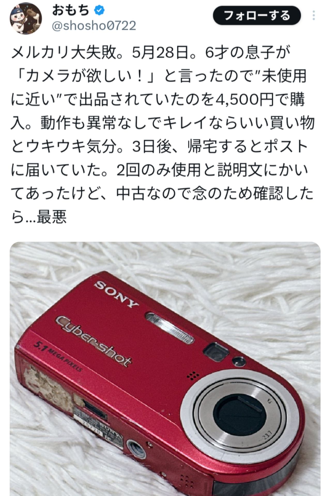 投稿画像
