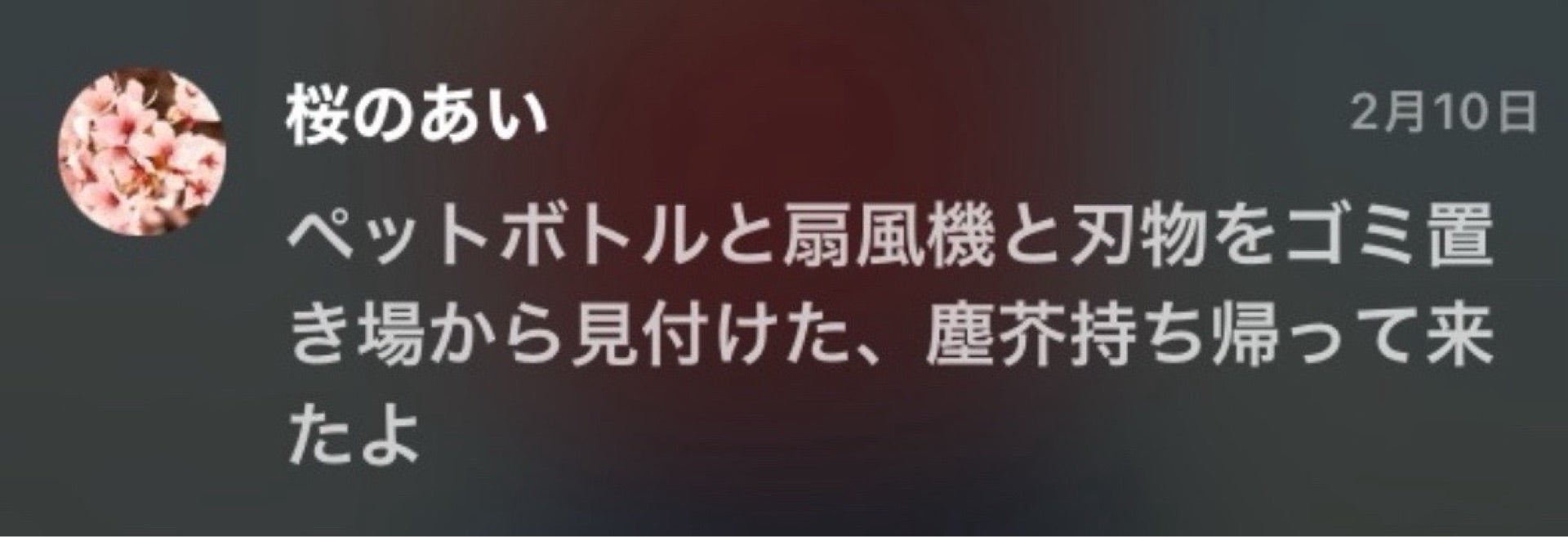 投稿画像