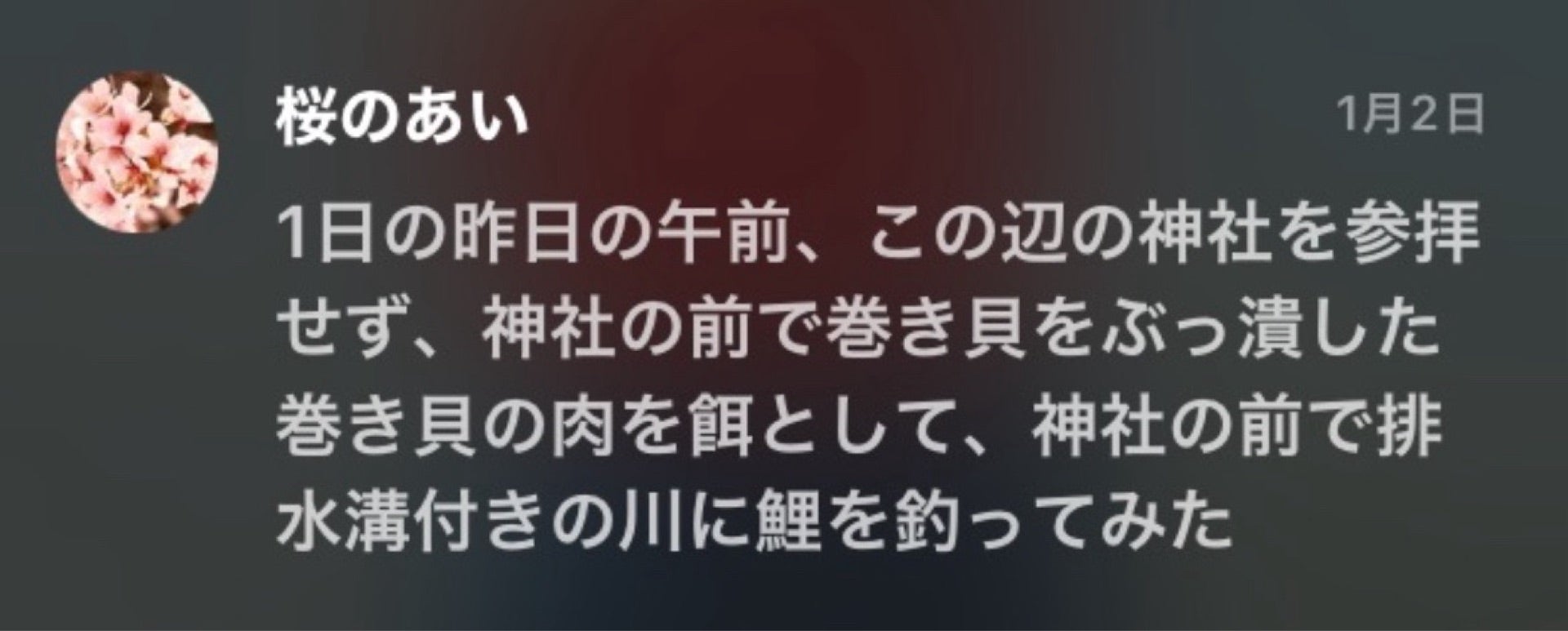 投稿画像