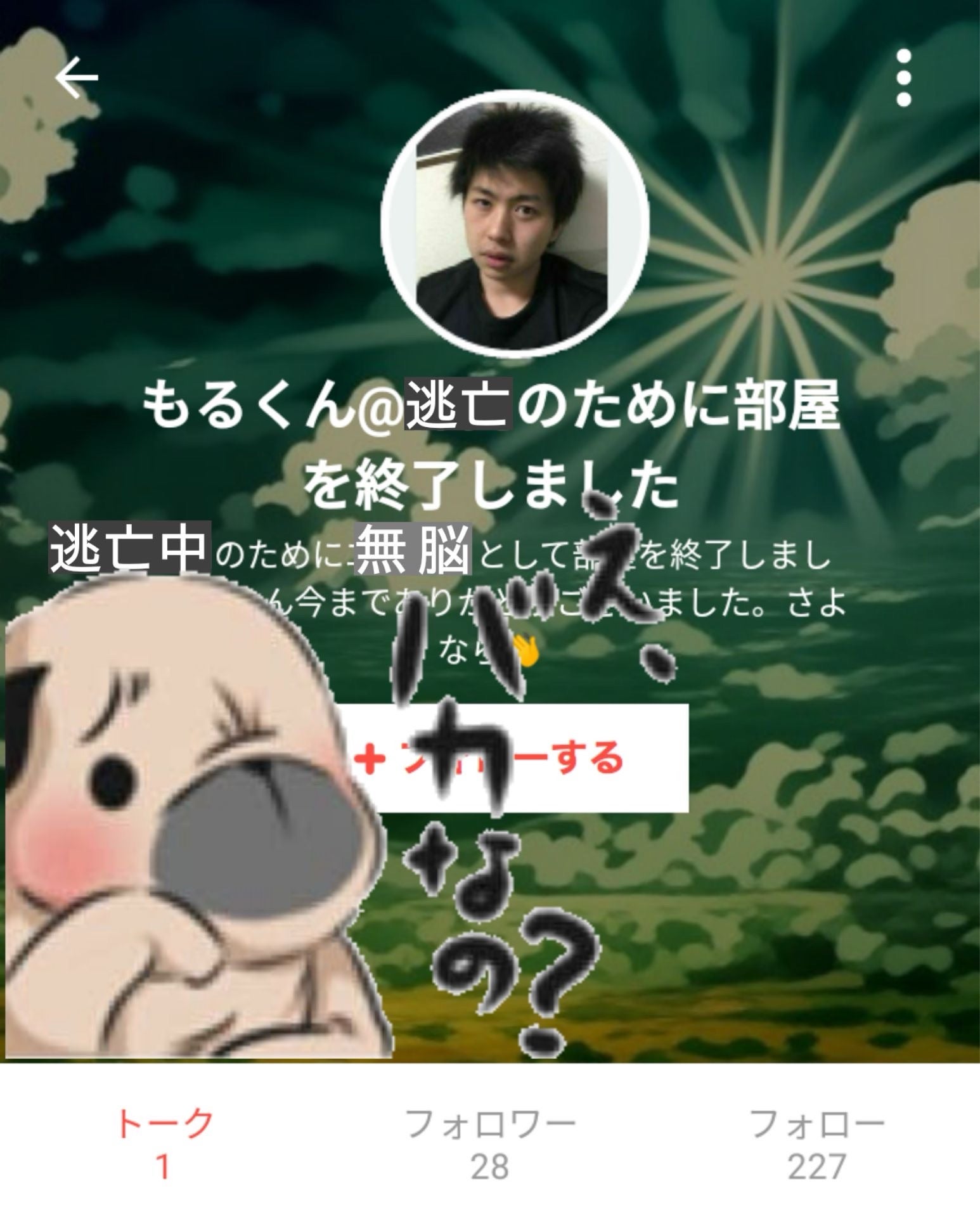 投稿画像