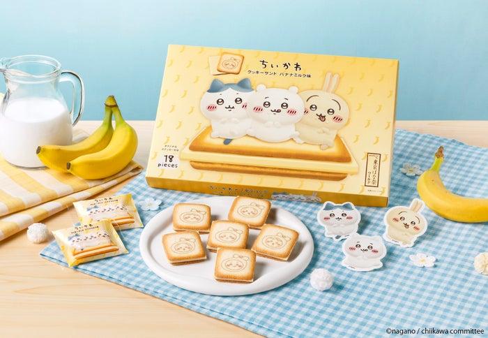 ニュース画像