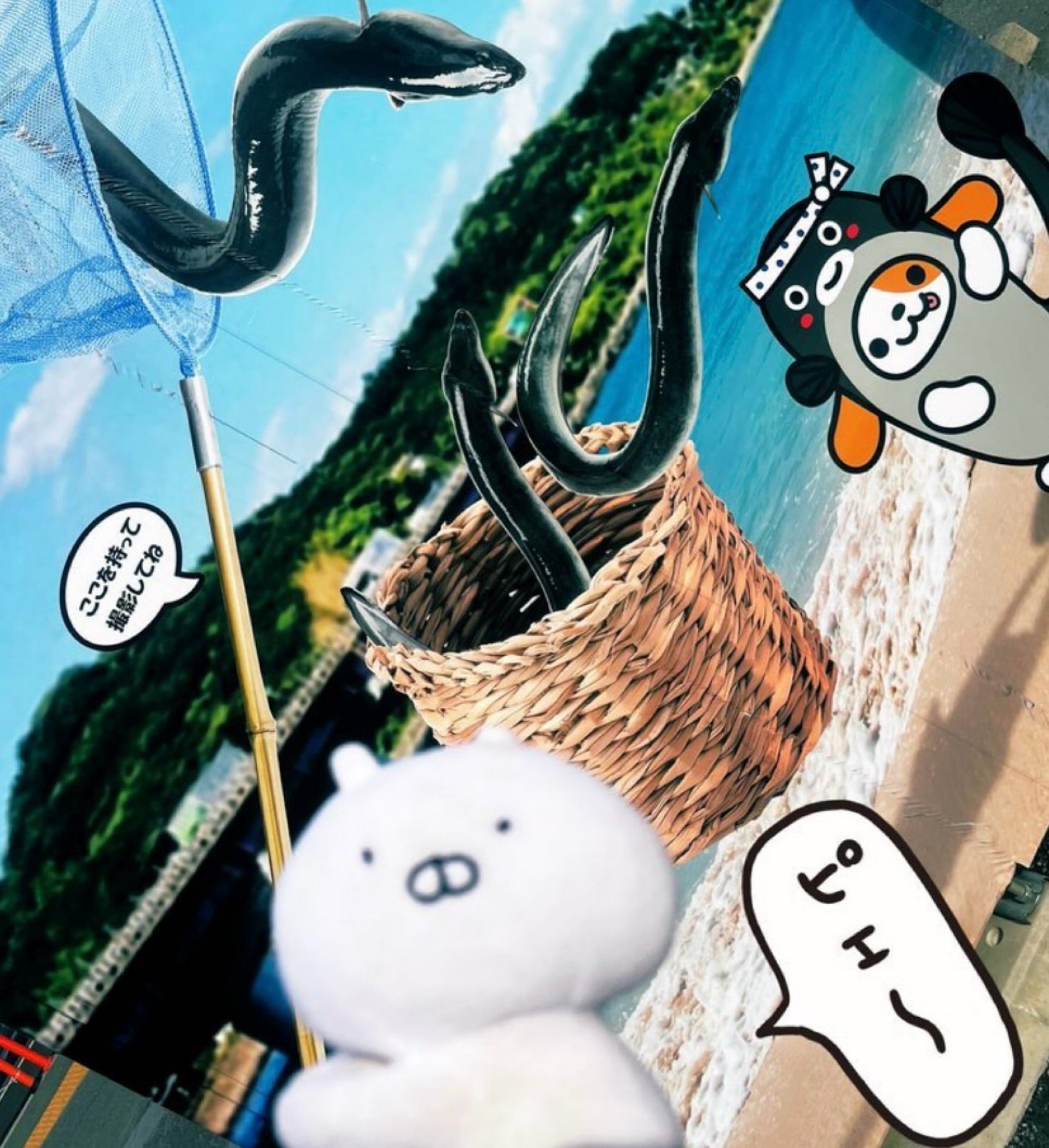 投稿画像