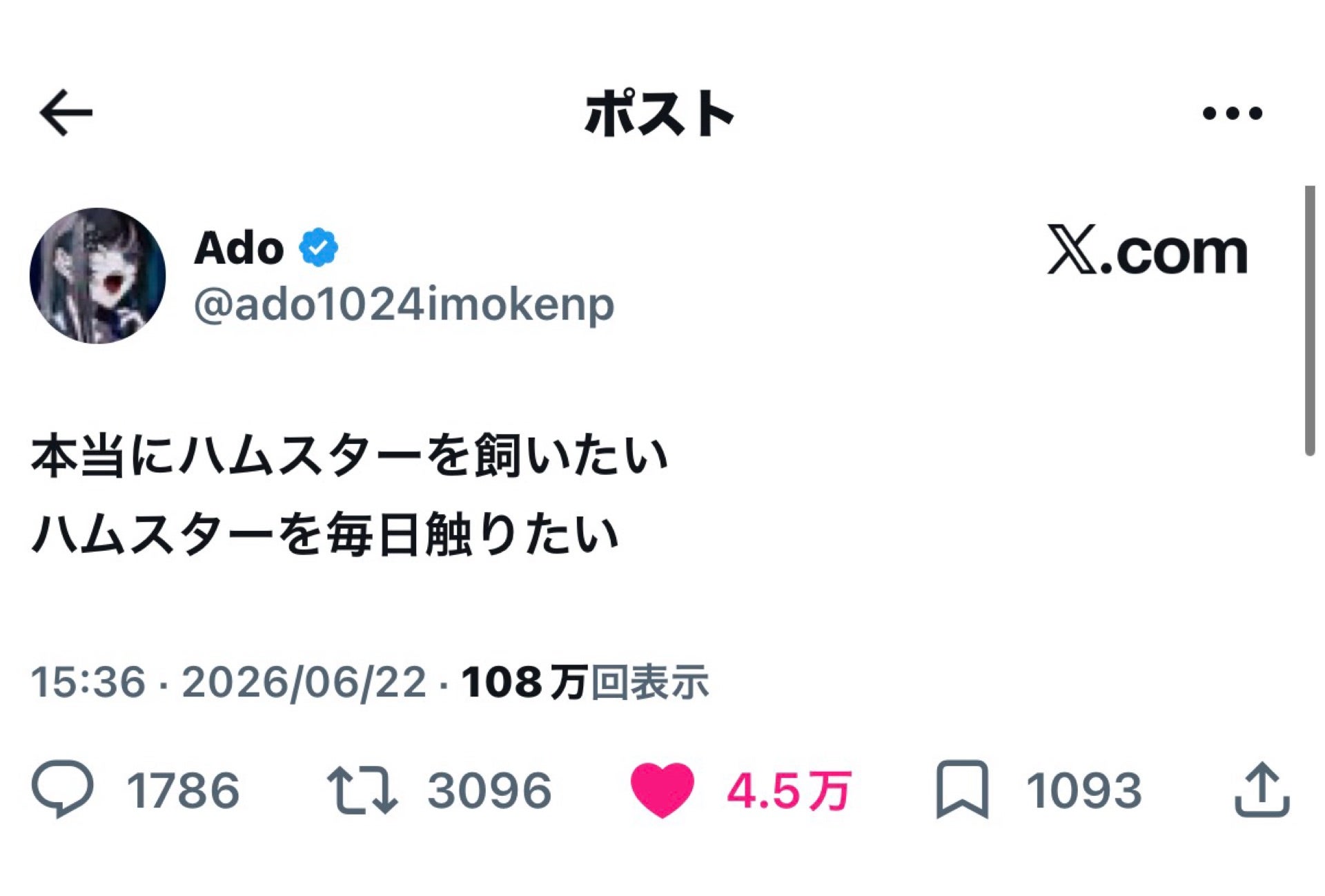 投稿画像