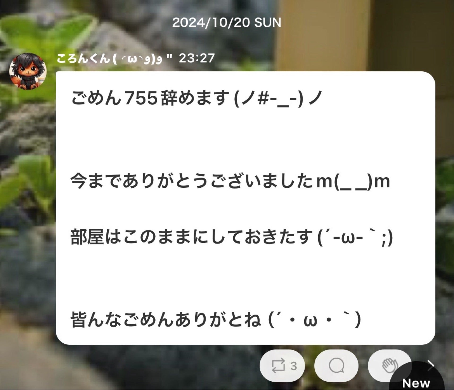 投稿画像