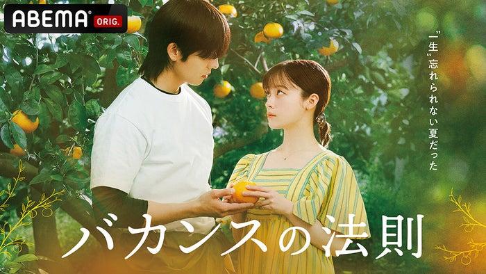ニュース画像