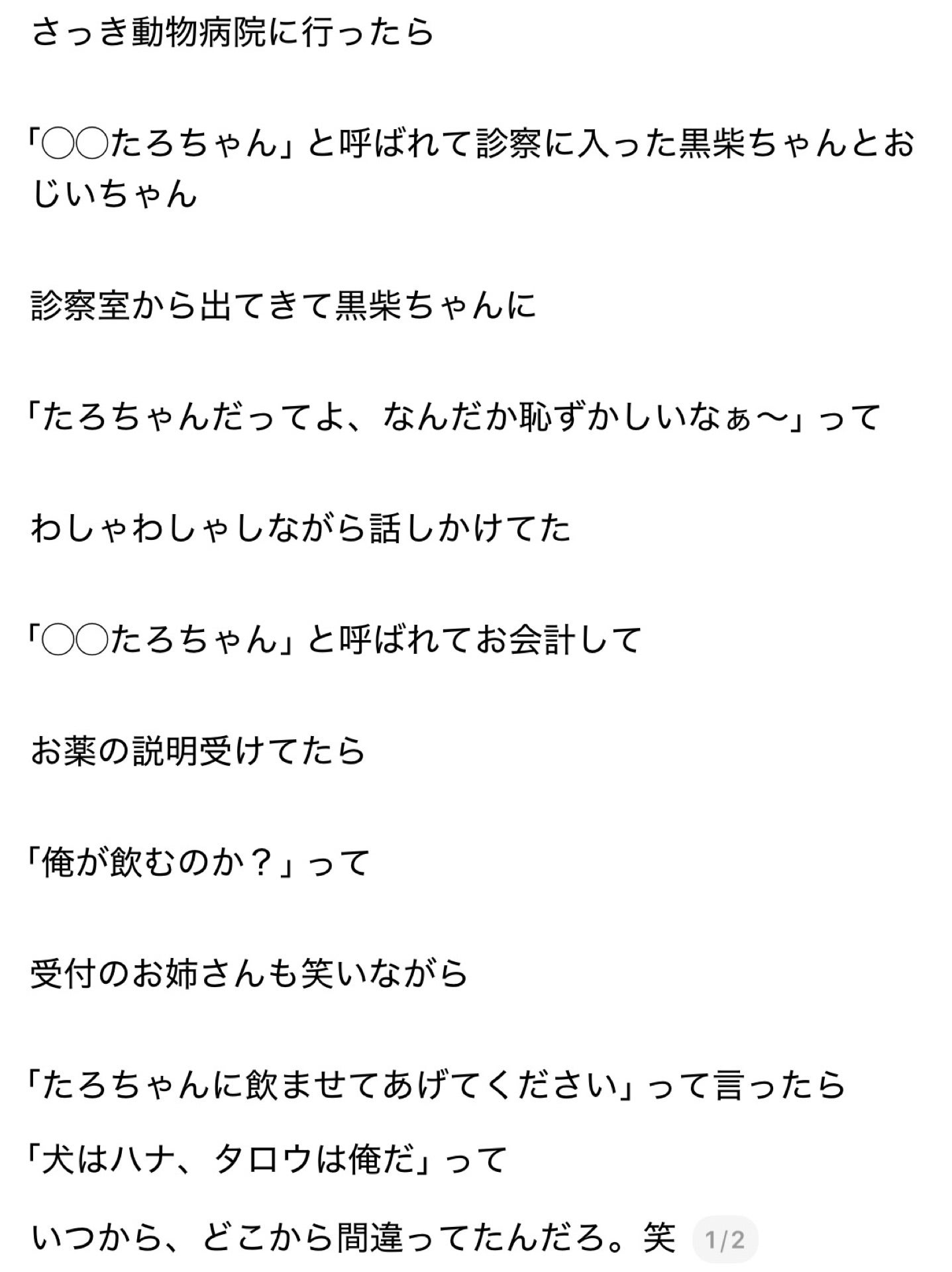 投稿画像