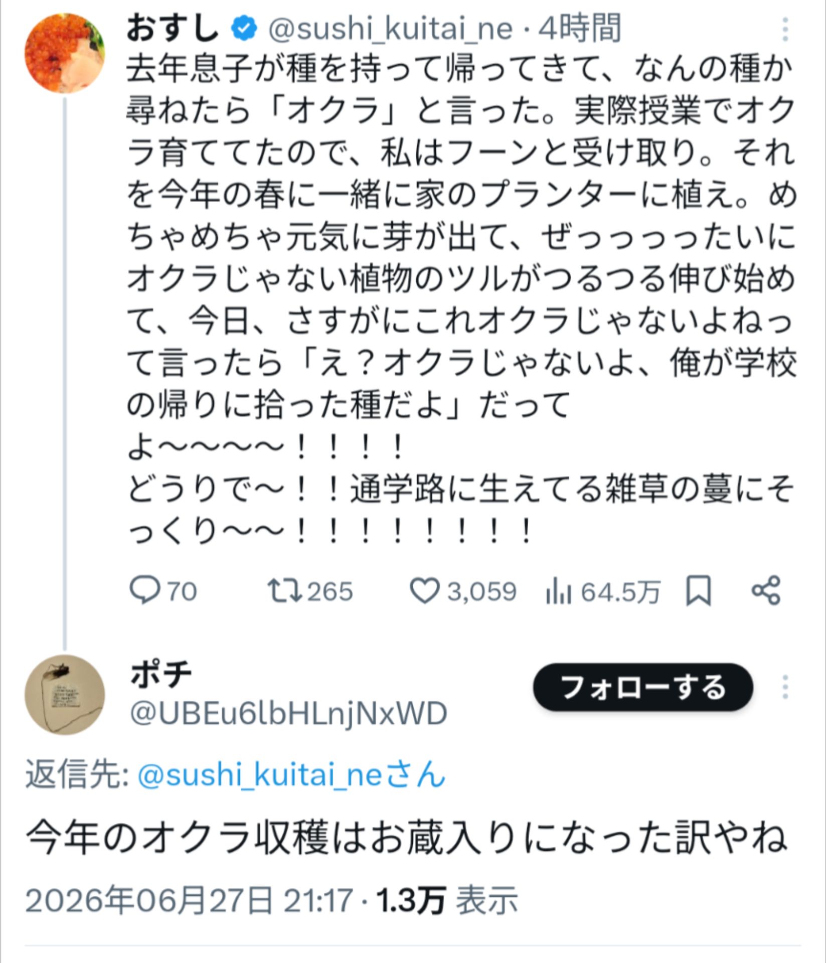投稿画像