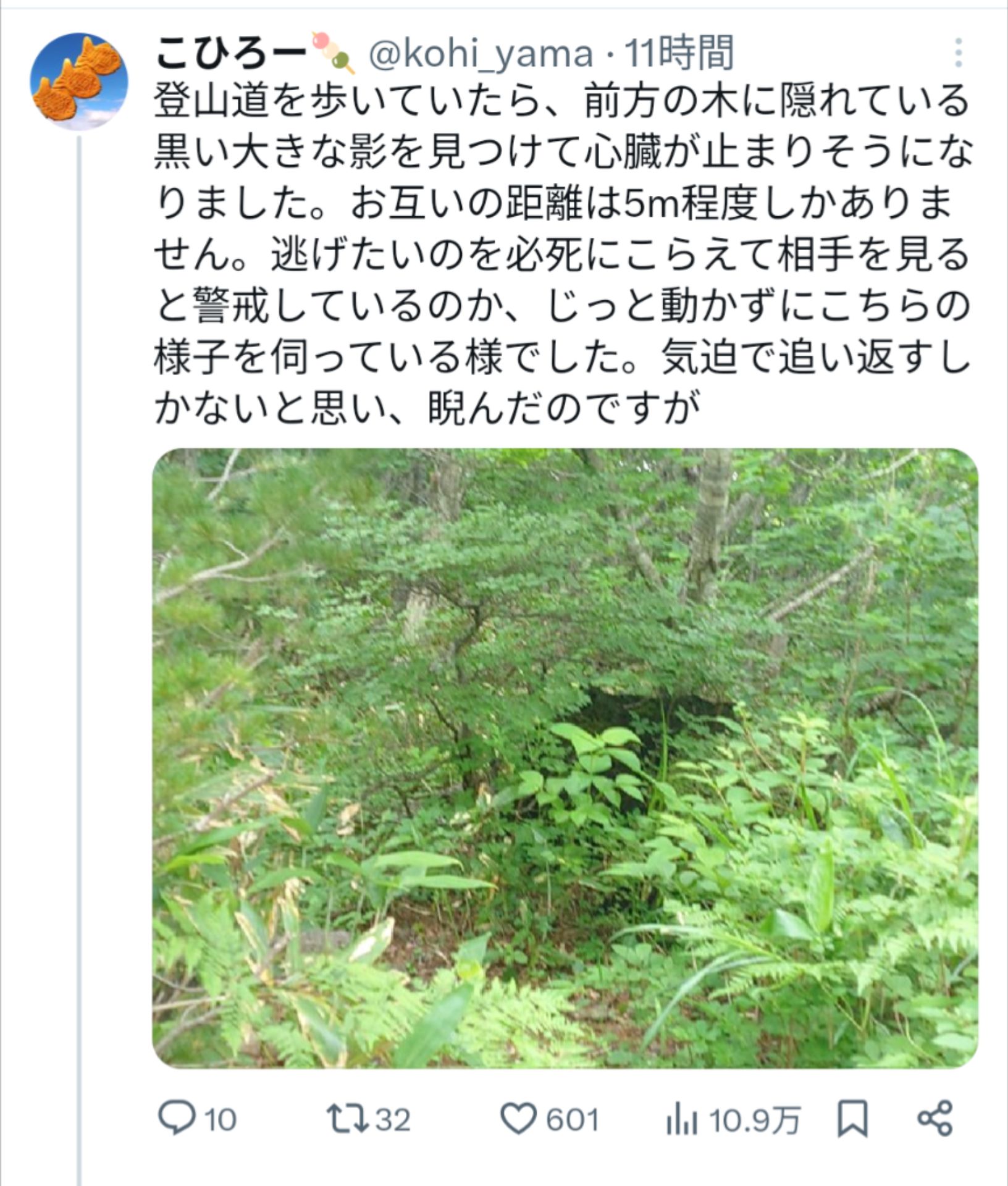投稿画像