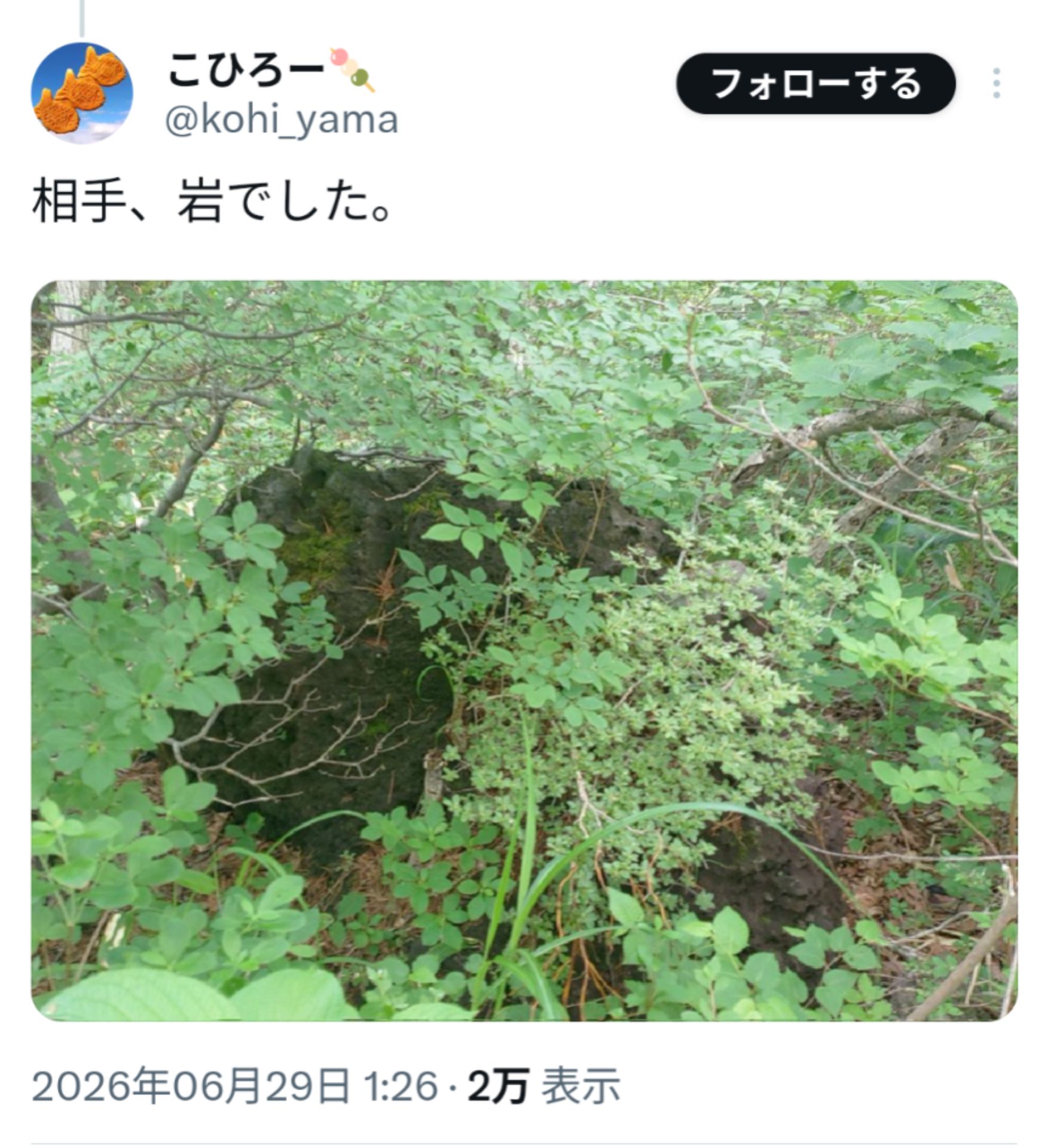 投稿画像
