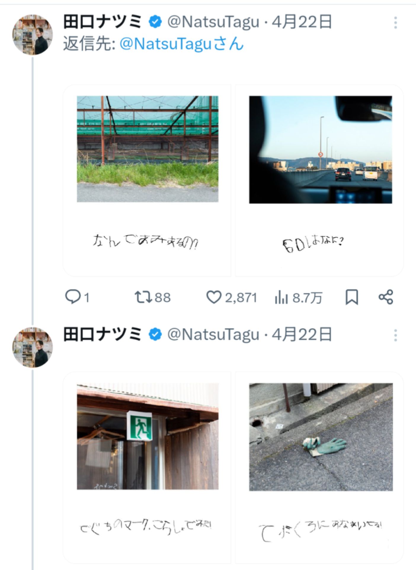 投稿画像