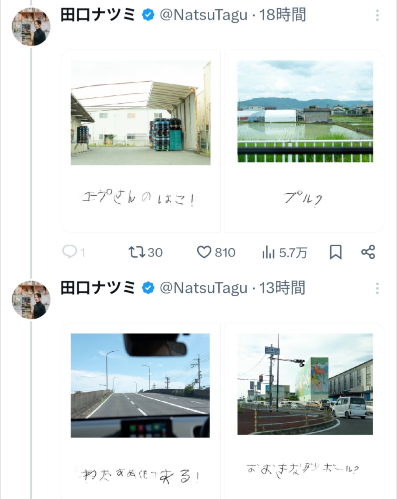 投稿画像
