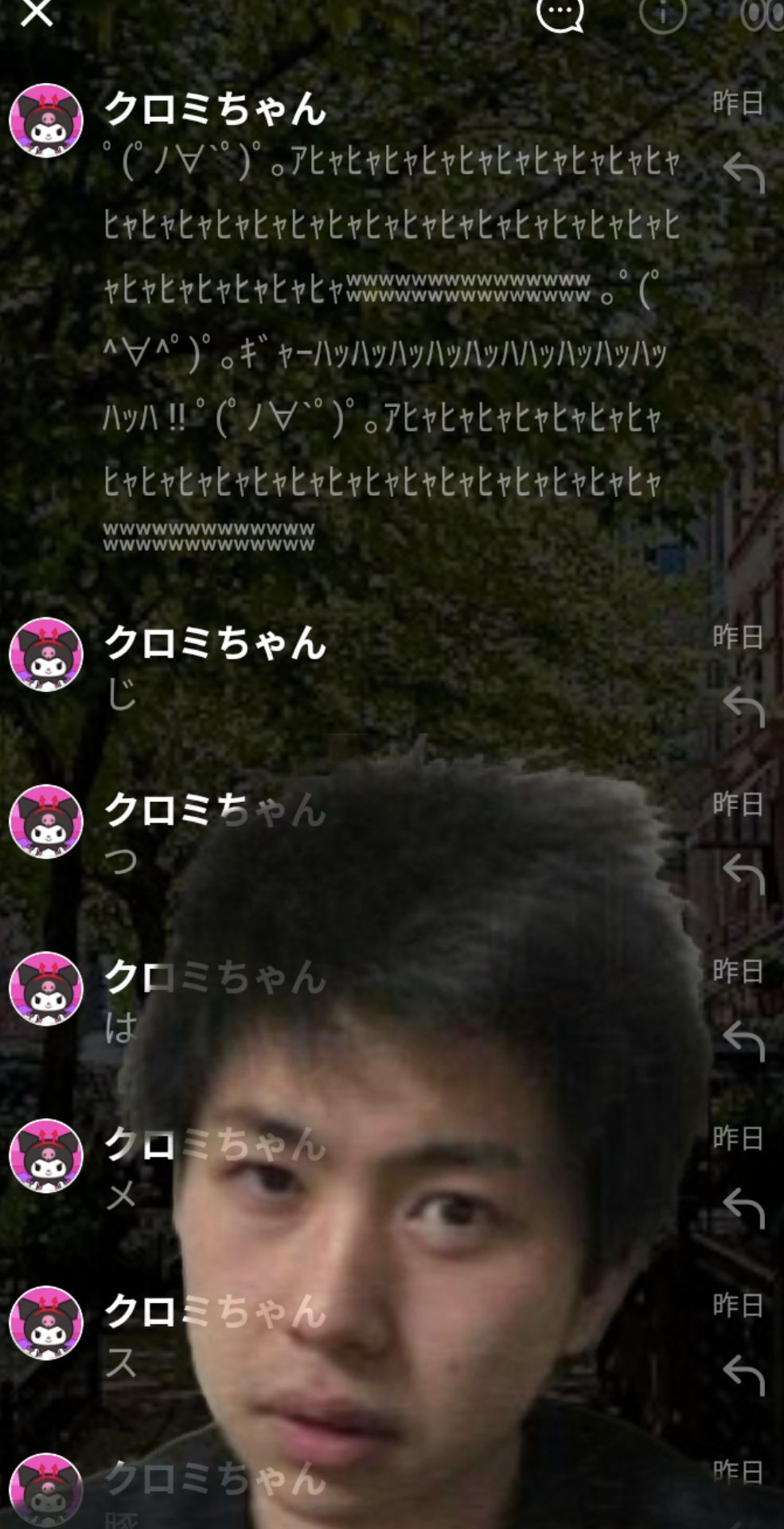 投稿画像