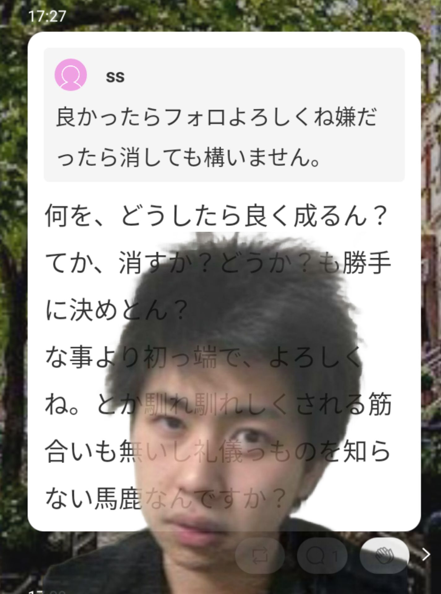 投稿画像