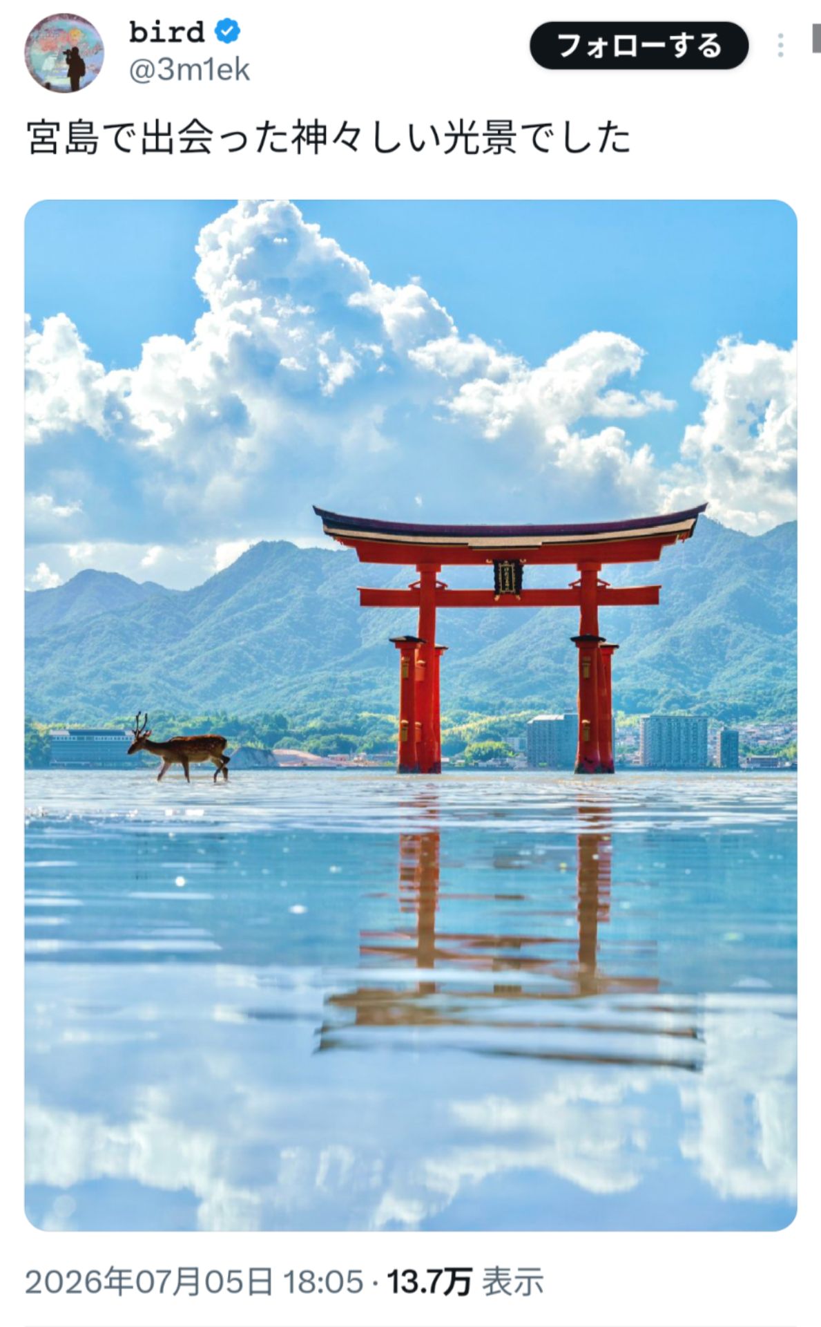 投稿画像