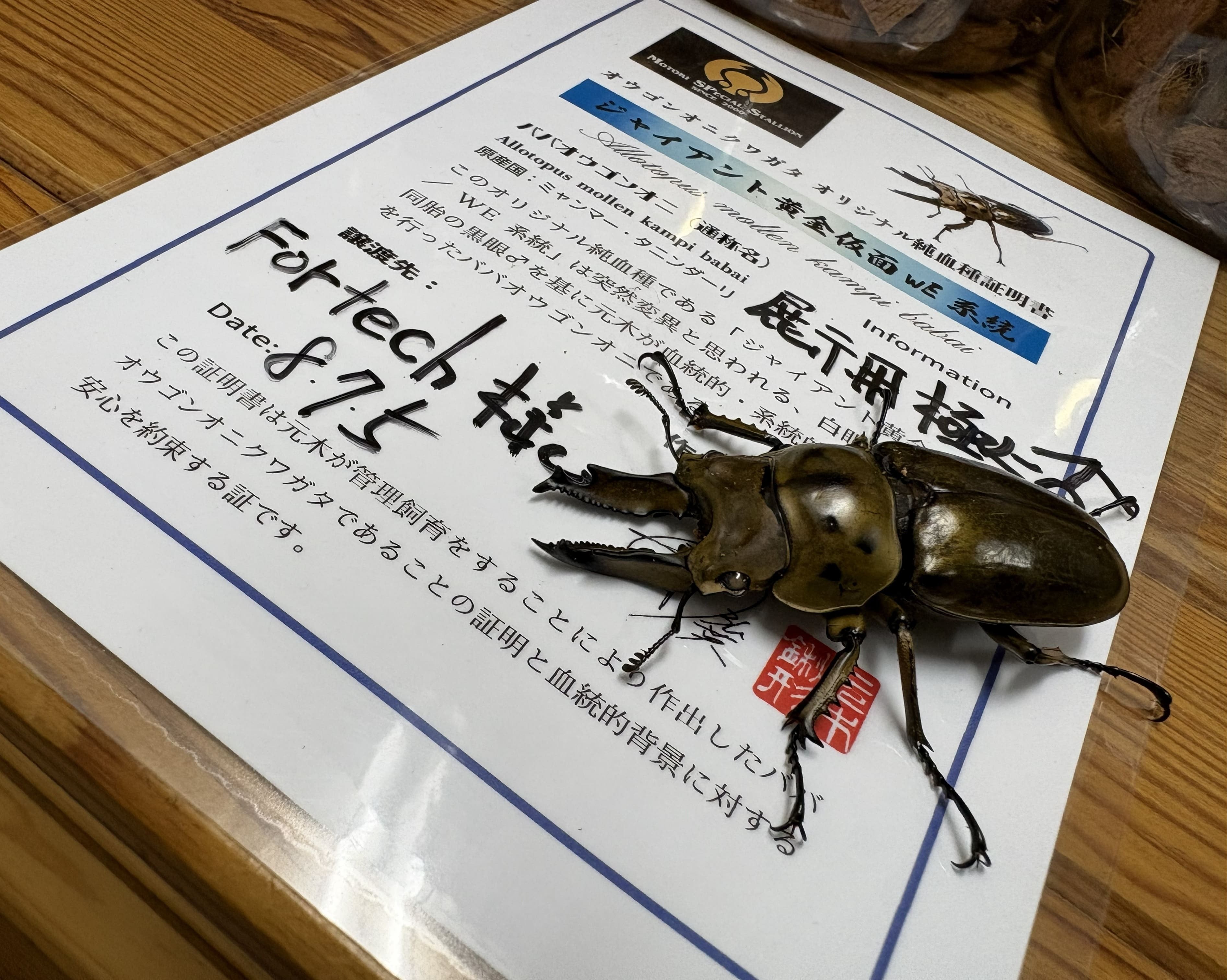 投稿画像